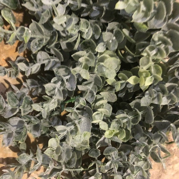 Ling’s Moment Various Greenery - Picture 2 of 9